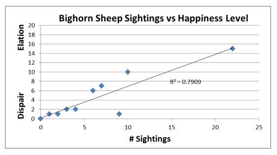 sheep vs happiness
